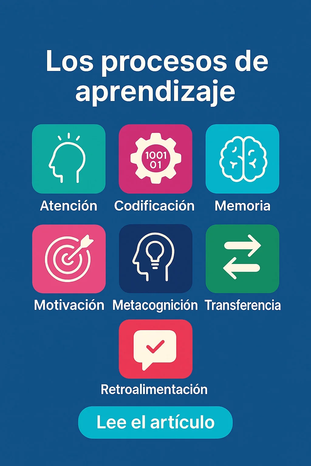 Los 5 procesos de aprendizaje - estudiantes participando en diferentes actividades educativas