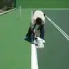 Servicio De Mantenimiento De Canchas Deportivas